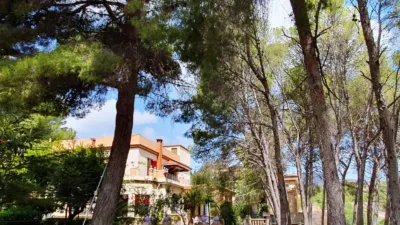 Chalet in Buñol photo 83