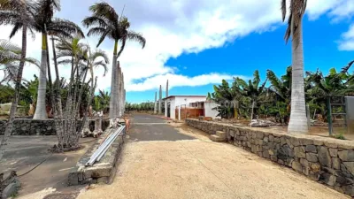 Rustic Finca in Tenerife North photo 4