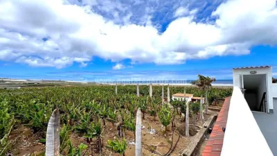 Rustic Finca in Tenerife North photo 13
