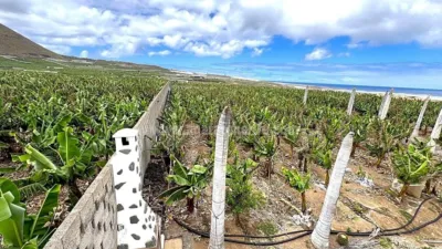Rustic Finca in Tenerife North photo 14