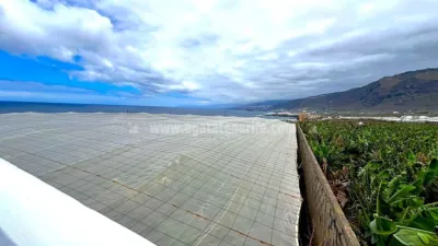 Rustic Finca in Tenerife North photo 16