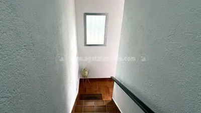 Rustic Finca in Tenerife North photo 36