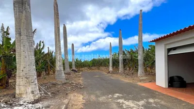 Rustic Finca in Tenerife North photo 61