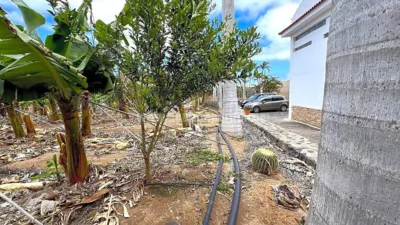 Rustic Finca in Tenerife North photo 66