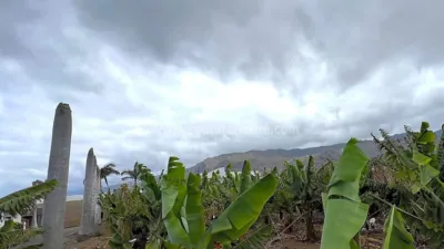 Rustic Finca in Tenerife North photo 70