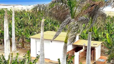 Rustic Finca in Tenerife North photo 2