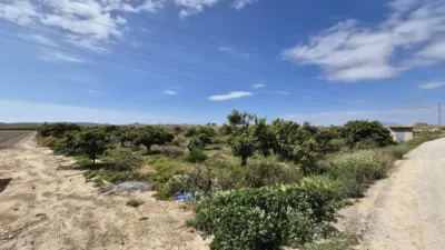 Terreno en venta en Calle Partida Almarjal - Vista 3