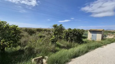 Terreno en venta en Calle Partida Almarjal - Vista 4