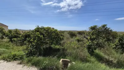 Terreno en venta en Calle Partida Almarjal - Vista 5