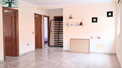 Apartment on Trafalgar Street photo 2