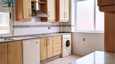 Apartment on Trafalgar Street photo 6