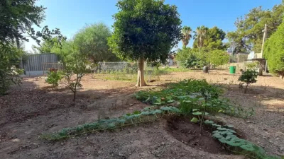 Rustic finca on Calle de los Jaboneros photo 14