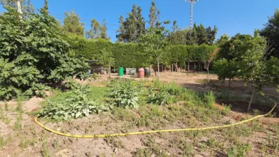 Rustic finca on Calle de los Jaboneros photo 15