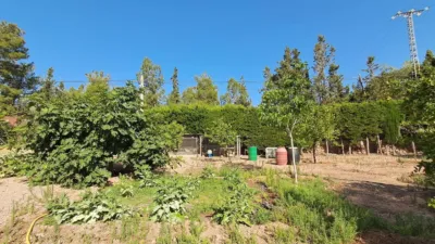 Rustic finca on Calle de los Jaboneros photo 17