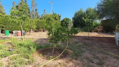 Rustic finca on Calle de los Jaboneros photo 19