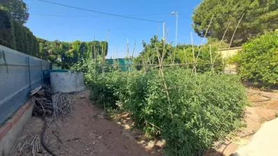 Rustic finca on Calle de los Jaboneros photo 29