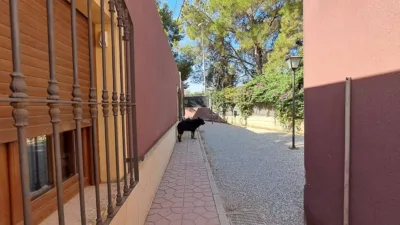 Rustic finca on Calle de los Jaboneros photo 52