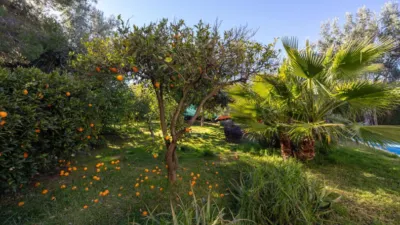 Chalet on Calle del Nacimiento photo 49