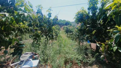 House in South Of Spain photo 6