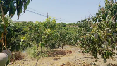 House in South Of Spain photo 7