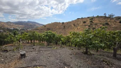 Finca rústica en South Of Spain photo 3