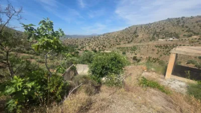 Rustic Finca in South Of Spain photo 3