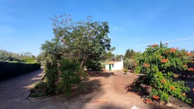 Rustic finca on Calle Principal photo 2