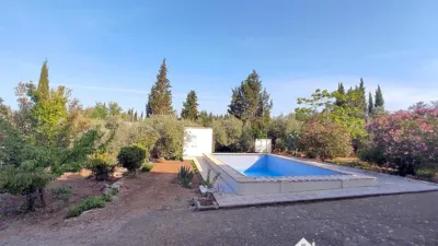 Rustic finca on Calle Principal photo 3
