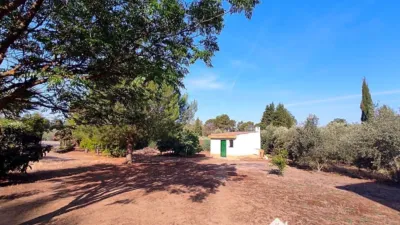 Rustic finca on Calle Principal photo 49