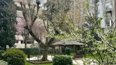 Piso en alquiler en Calle de Francisco Suárez - Imagen 29