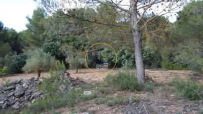 Chalet in Bañeres de Mariola, Alicante, Spain photo 5