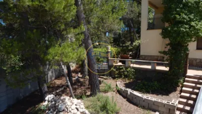 Chalet in Sierra de Mariola photo 45