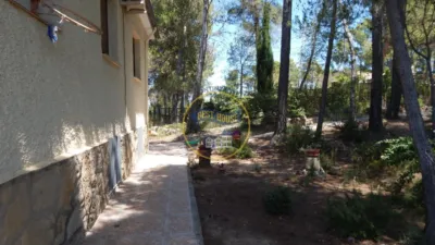 Chalet in Sierra de Mariola photo 46