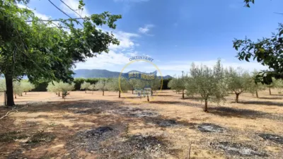 Chalet en Comunidad Valenciana photo 20
