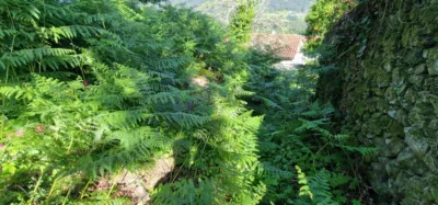Finca rústica en venta en Outes, Outes de 60.000 €