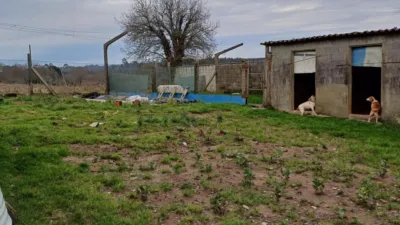 House in Galicia photo 4