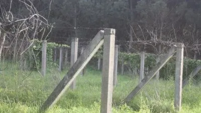 Terreno en venta en Zona Vedra - Vista 3