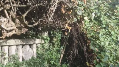 Terreno en venta en Zona Vedra - Vista 4