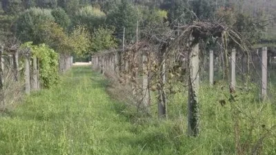 Terreno en venta en Zona Vedra - Vista 5