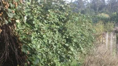 Terreno en venta en Zona Vedra - Més
