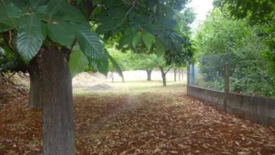 Casa pareada en Herbon photo 36