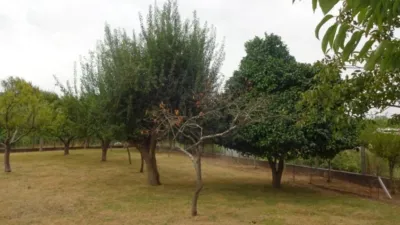 Casa pareada en Herbon photo 49