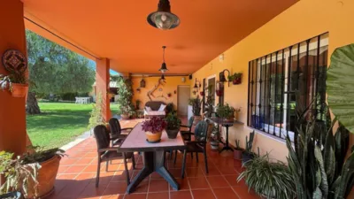 Chalet in Ardelejos - Cuesta de La Palma - Buenavista photo 9