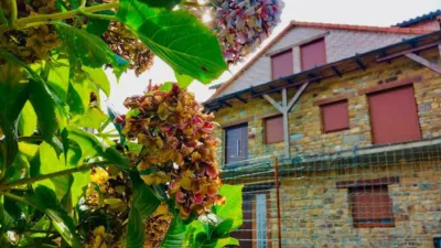 Casa rústica en venta en Belandres (Cudillero) - Vista 6