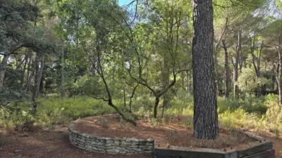 Terreno en venta en los Llanos - Vista 2