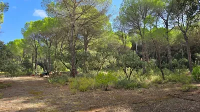 Terreno en venta en los Llanos - Vista 4