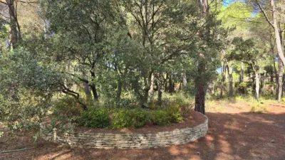 Terreno en venta en los Llanos - Vista 5