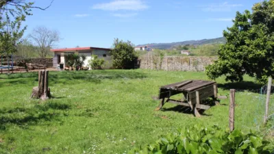 Rustic Farmhouse on Camino de Petritza photo 49