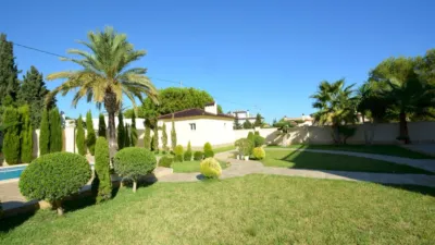Chalet in Cabo Roig photo 49