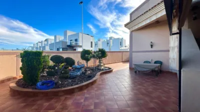 House in La Siesta photo 4